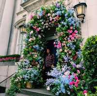 🌸 Chelsea Flower Show 2025: A Blooming Spectacle in London 🌿