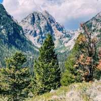 🚗 Getting Around Grand Teton National Park: Smart Travel Tips