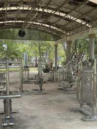 Free hot spring in Surat Thani