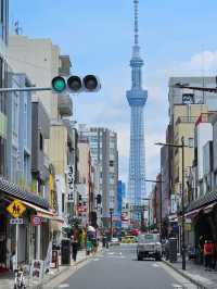 🇯🇵 My Ultimate 3-Week Japan Itinerary: Culture, Nature & City Buzz in One Epic Trip 🌸