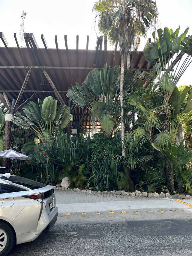 Tulum was a dream😍