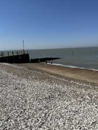 🚆 My Favourite Route: Day Trip to Whitstable 🦪🌊🚲