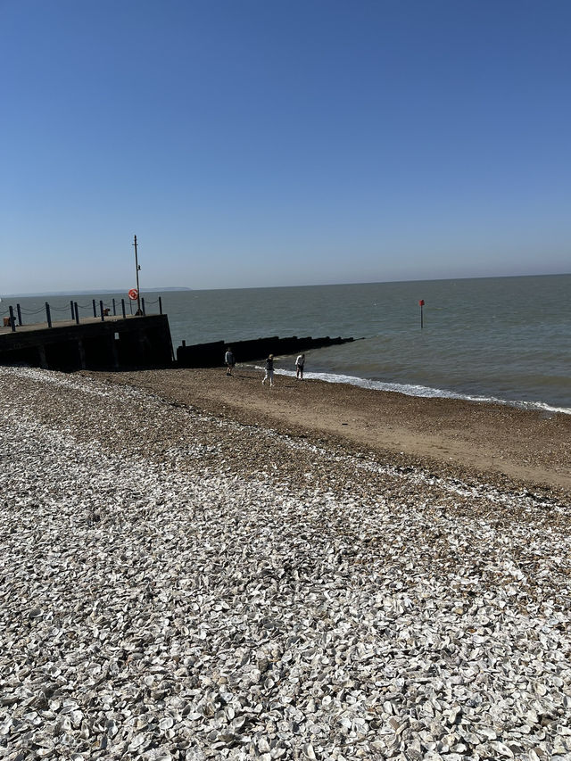 🚆 My Favourite Route: Day Trip to Whitstable 🦪🌊🚲