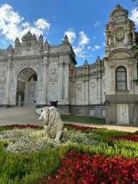 🏛️ Dolmabahçe Palace – Ottoman Grandeur on the Bosphorus