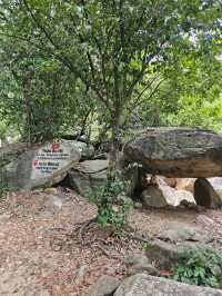 A Peaceful Escape at BaHo Eco Beat