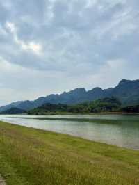 🌿 Sleeping Under the Stars – Camping Where the Wild Things Are