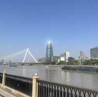 Ningbo in Spring: A Symphony of Blossoms and Timeless Water Town Charm