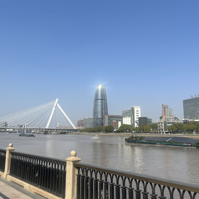 Ningbo in Spring: A Symphony of Blossoms and Timeless Water Town Charm