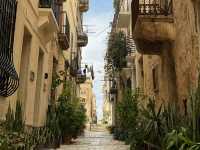 A day in Malta for nature lovers