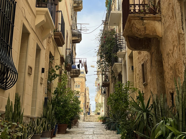 A day in Malta for nature lovers