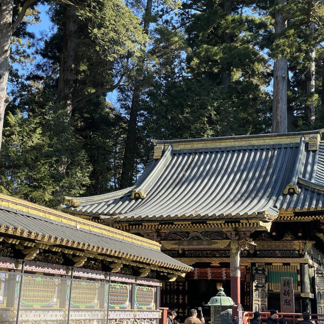 Nikko Day Trip: Temples, Nature & Timeless Japan