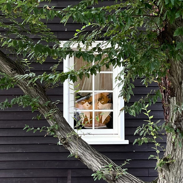 Discover Tokyo’s Green Escape: Parks & Hidden Nature
