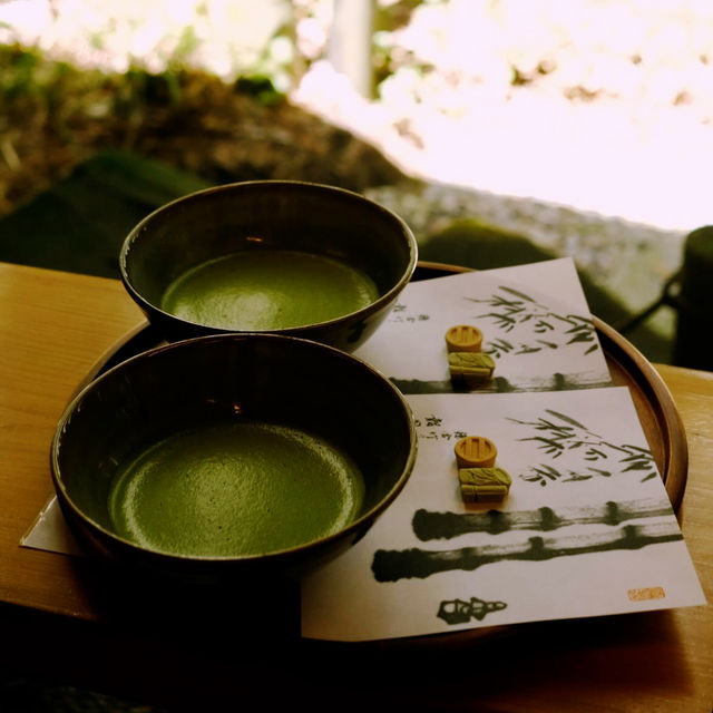Discover Tokyo’s Green Escape: Parks & Hidden Nature