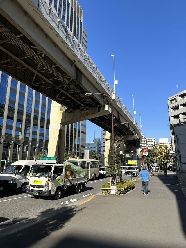 Exploring Tokyo & Kyoto means diving deep into centuries