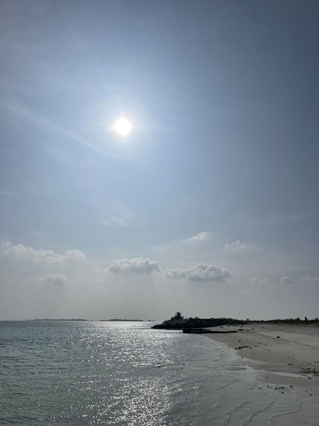 🏝️ Thulusdhoo Sandbank – A Slice of Maldives Heaven 🌊✨