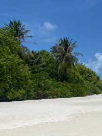 Experience Paradise at Furaveri Island Resort & Spa 