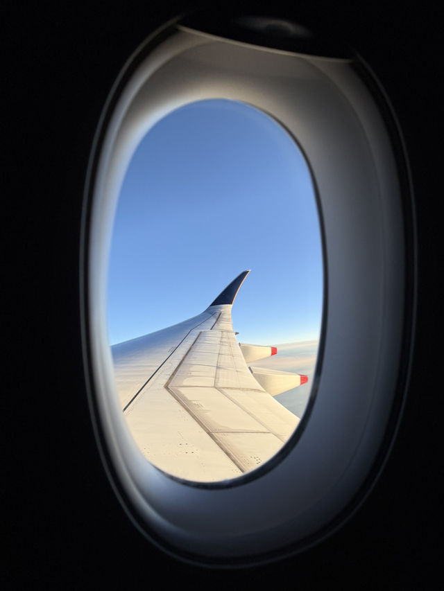 Free Singapore Stopover Program✨