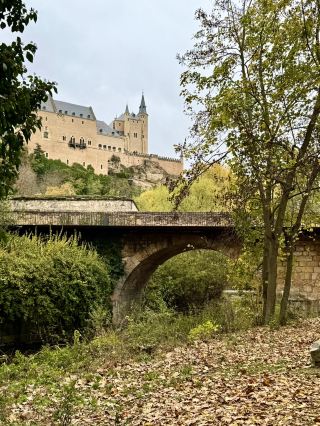 阿爾卡薩爾下的迷霧森林氛圍