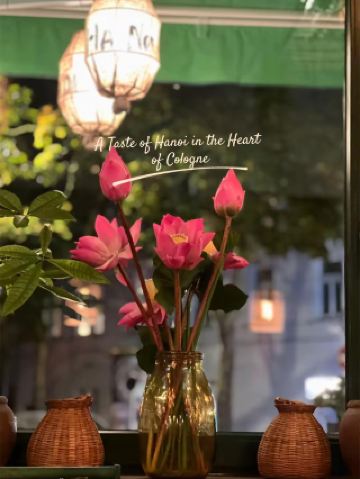 科隆的純素暖心美食🍜🥢