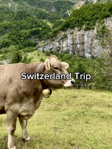 วันพักผ่อนบนภูเขา