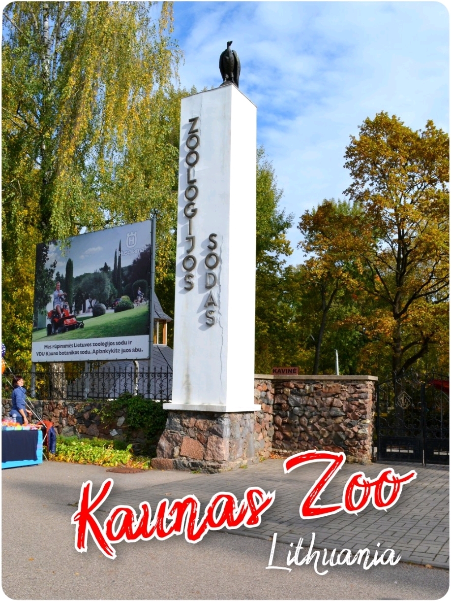 🦁 Kaunas Zoo: The Oldest Zoo in Lithuania