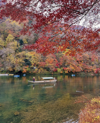 日本紅葉季 — 染上金紅色彩的夢幻季節