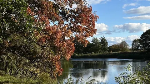 Sometimes, the most peaceful moments are also the most memorable. 🍁✨ — traveler post in Leeds