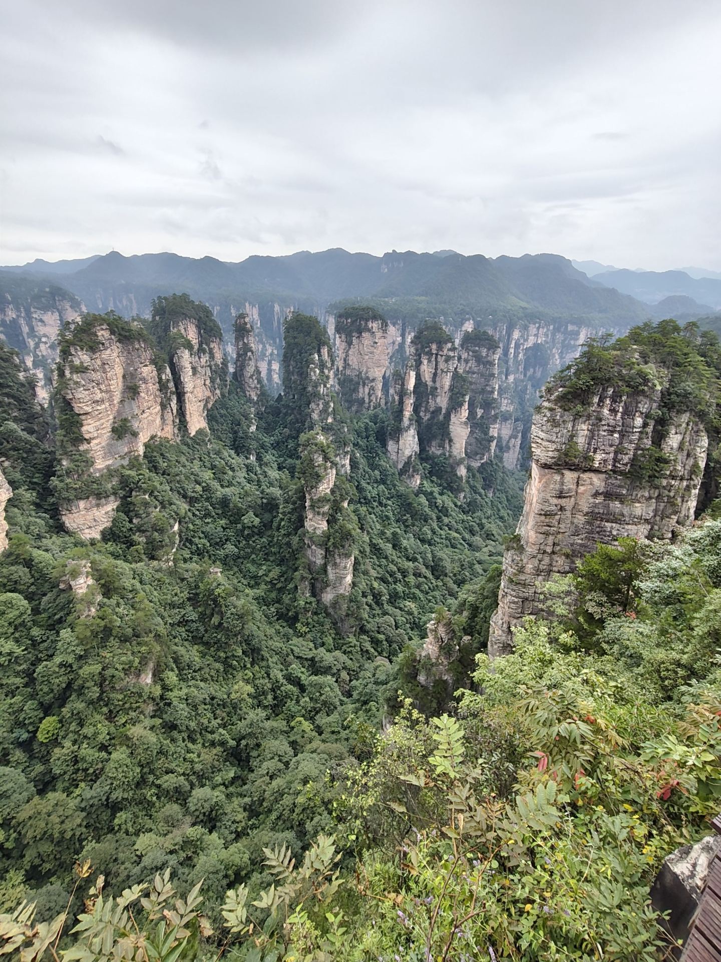 Seamless Adventure Through Zhangjiajie and Beyond: A Real Trip.com Journey