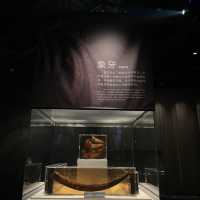 Jinsha Site Museum 