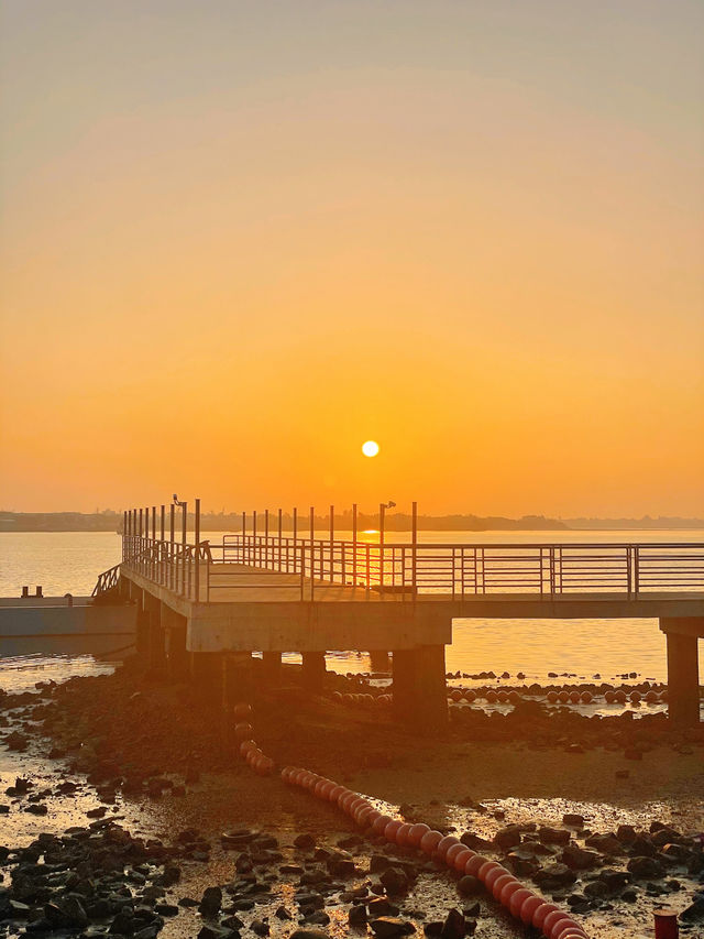 Zhanjiang Tourism | 📍Seaside Park has sunrise, coconut groves and beach.