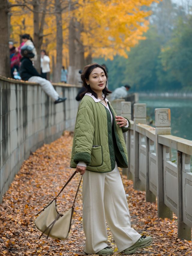 不騙人！已渲染99%！成都公園免費看銀杏