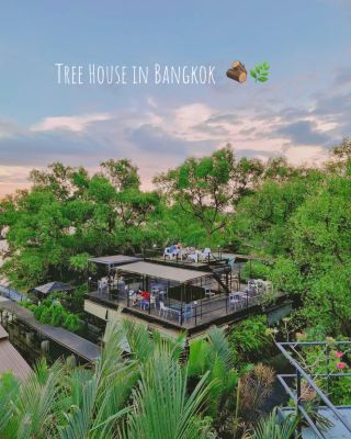 พักในบ้านต้นไม้ 🌿