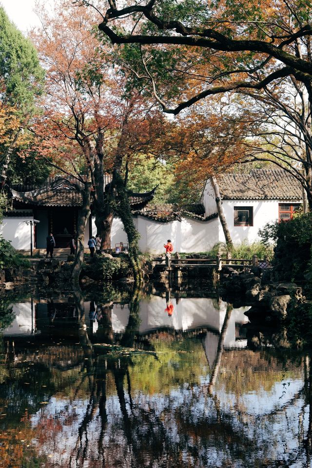 發現上海｜上海一日遊，去看秋霞圃的紅葉和園林