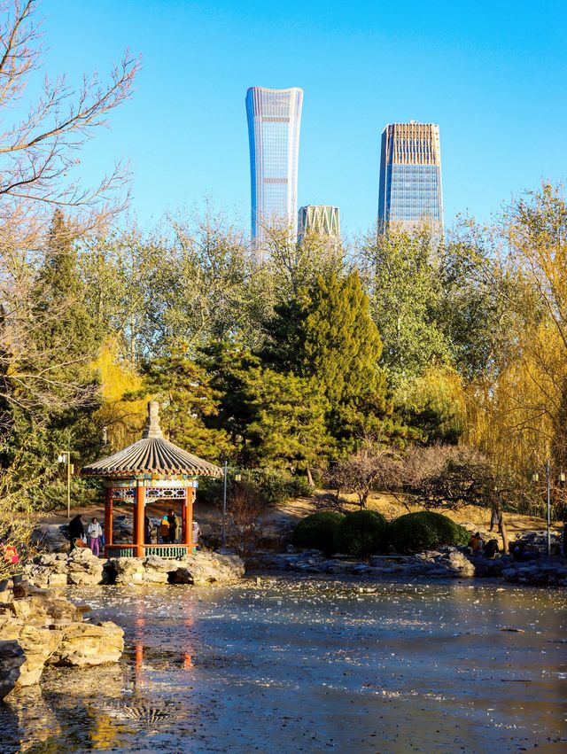 北京日壇公園•CBD與古建築同框