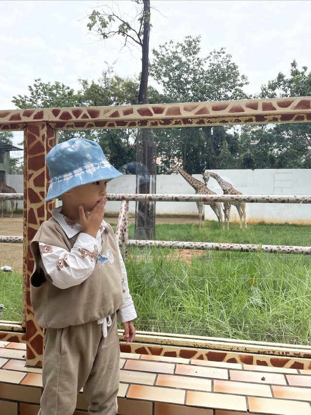 一起跟萌娃玩轉昆明動物園！