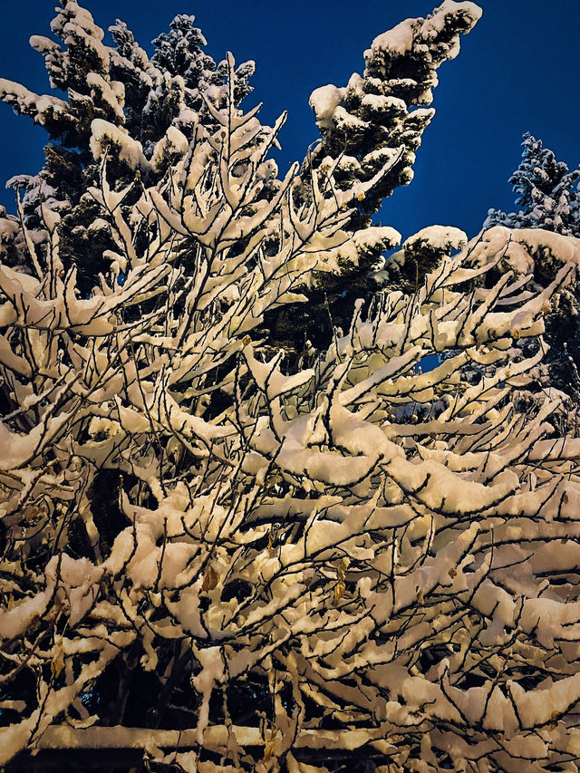 雪後的北京街頭