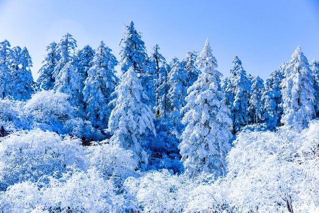 瓦屋山看雪攻略，這才是最正確的打開方式