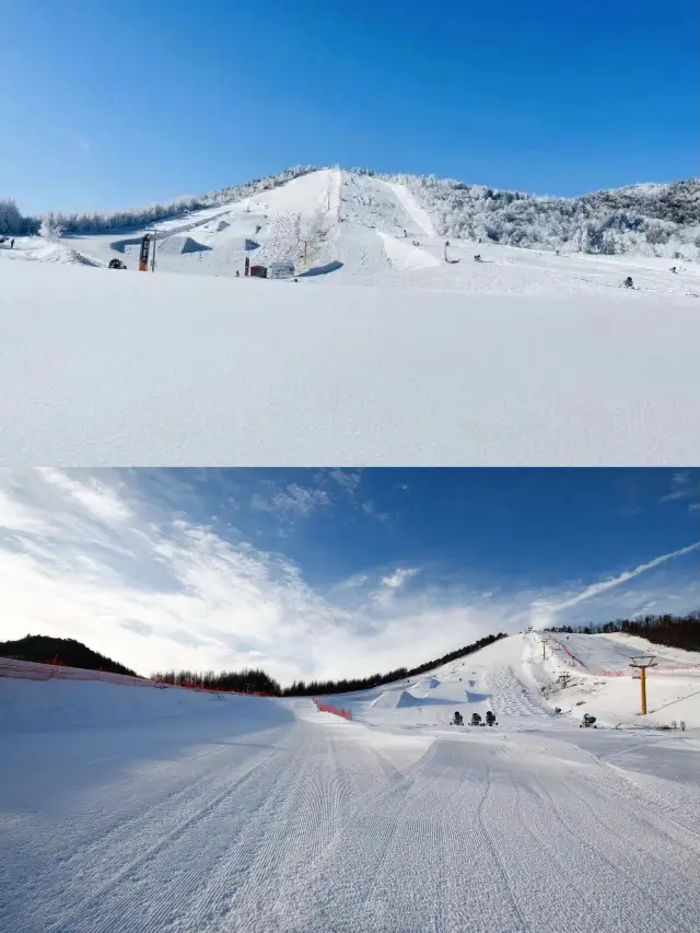 Shennongjia in winter is so beautiful that it's divine!