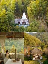 莫干山這家山麓茶室,太舒服可以發呆一天