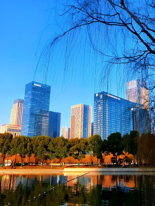 The sky is reflected in the water, and the elegance is silent: Hefei Swan Lake