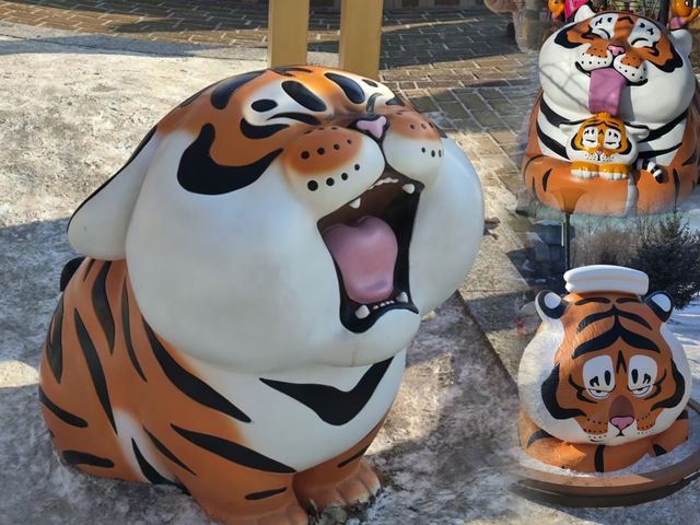 哈爾濱｜東北虎林園｜來看可愛的金漸層