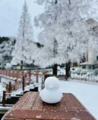 九宮山初雪|武漢周邊不容錯過的霧凇美景