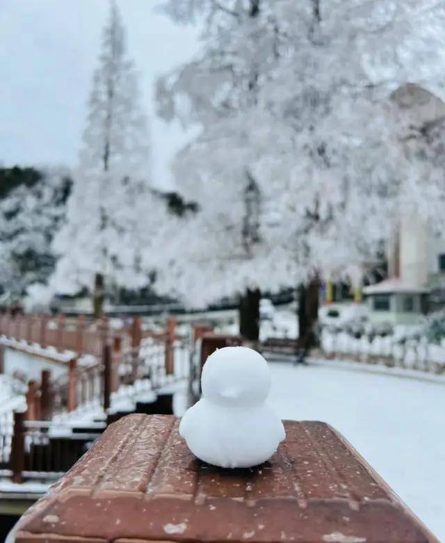 九宮山初雪|武漢周邊不容錯過的霧凇美景