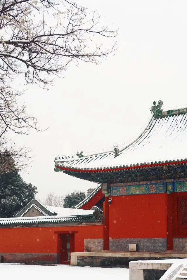 Beijing | One person contracts the beautiful snow scene, no need to squeeze into the Forbidden City anymore!