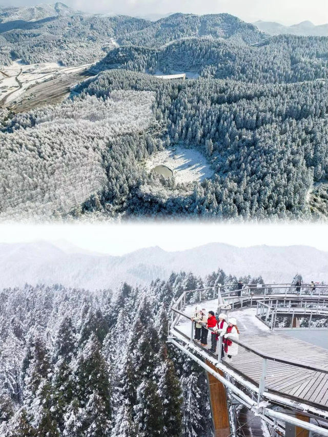 探秘重慶仙女山，一次就上癮的自然之旅