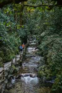 昆明周邊｜玉溪雲海日出哀牢山徒步𝟮天攻略