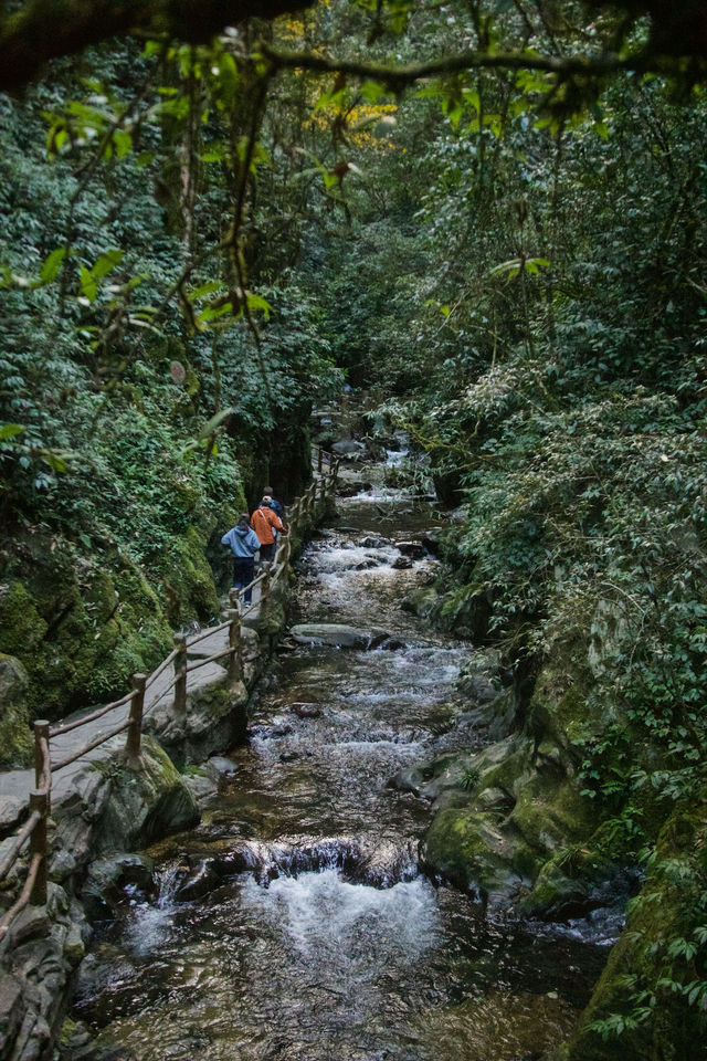 昆明周邊｜玉溪雲海日出哀牢山徒步𝟮天攻略