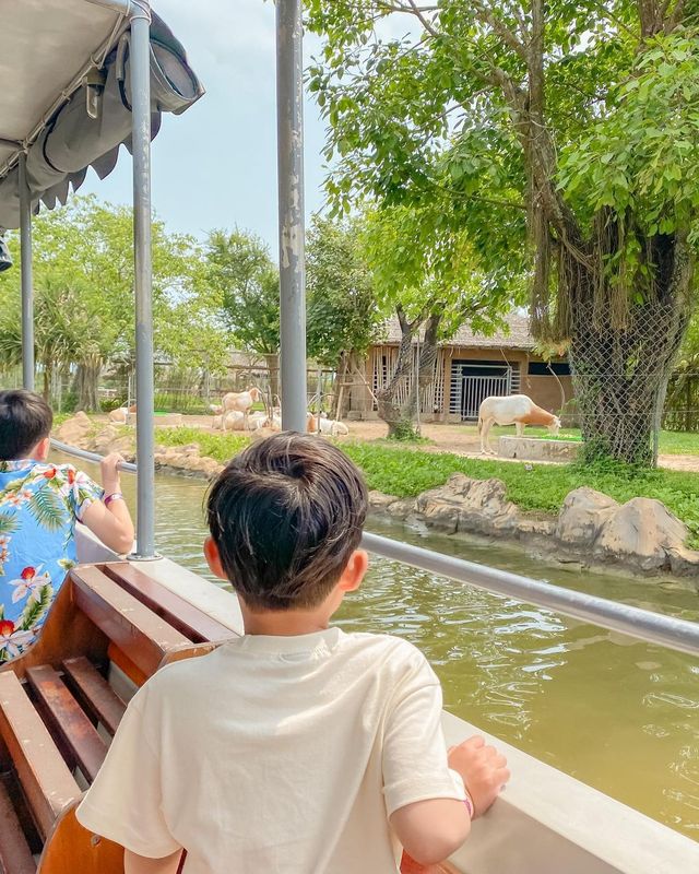 다낭 & 호이안 여행 아이와 가볼만한곳 🐤
남호이안 빈원더스 : 사파리편 🐘🦒