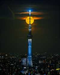 我在東京拍到了超級藍月亮