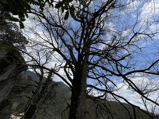 富硒溫泉